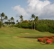 The par-3 eighth hole on Kauai Lagoons plays downhill to a green guarded by water.